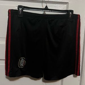 Adidas 2010 Mexico Away Soccer Shorts